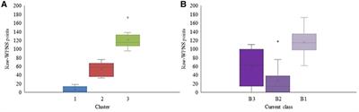 Classification in Para skiing: do better performing skiers have better visual functions?